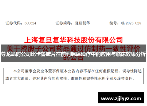 尊龙凯时公司比卡鲁胺片在前列腺癌治疗中的应用与临床效果分析