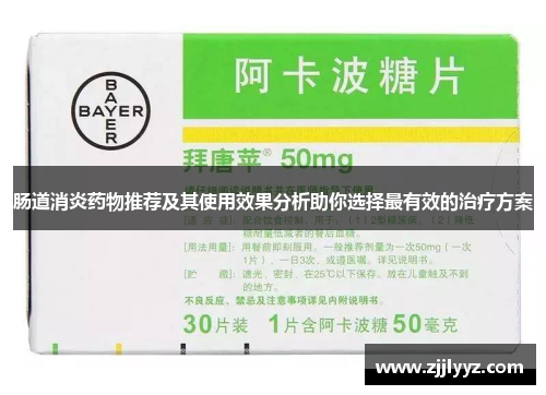 肠道消炎药物推荐及其使用效果分析助你选择最有效的治疗方案