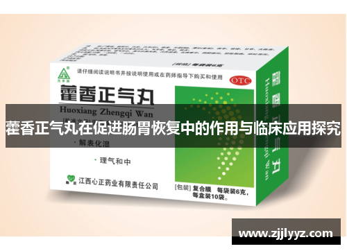 藿香正气丸在促进肠胃恢复中的作用与临床应用探究